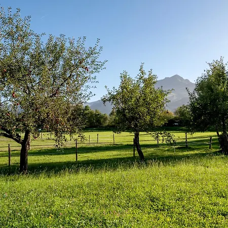 Apartment-pension Schmiedererhof شقة *